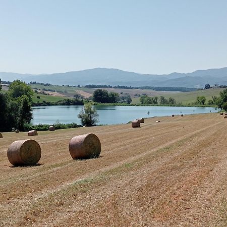 Il Marrondindo Bed & Breakfast Galliano Exterior foto