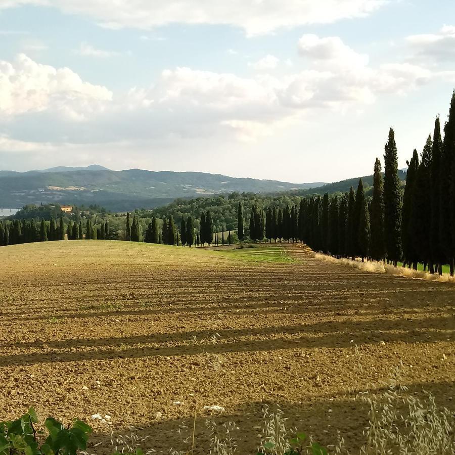 Il Marrondindo Bed & Breakfast Galliano Exterior foto